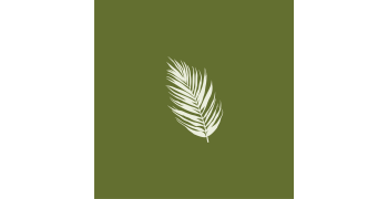 Palm Leaf Art